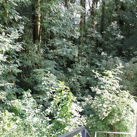 Fewo Harling - Waldsamkeit Bad Iburg Bagian luar foto