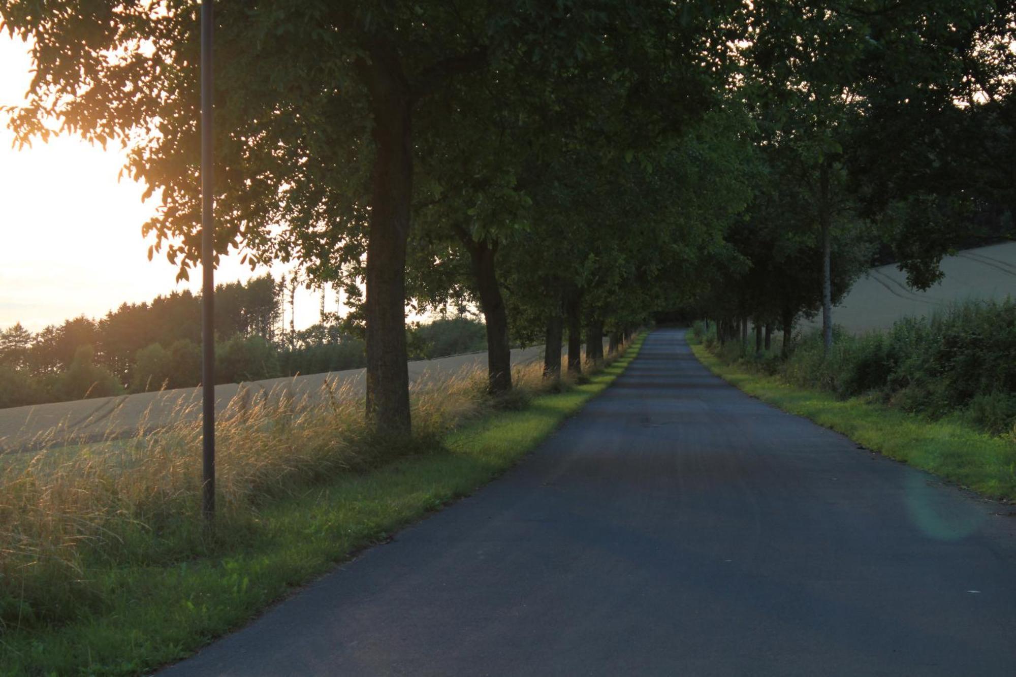 Fewo Harling - Waldsamkeit Bad Iburg Bagian luar foto