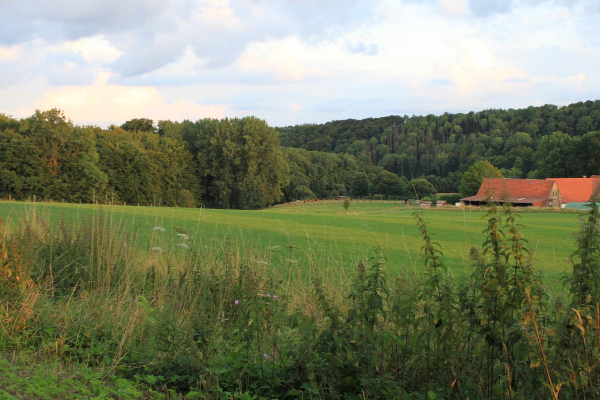 Fewo Harling - Waldsamkeit Bad Iburg Bagian luar foto