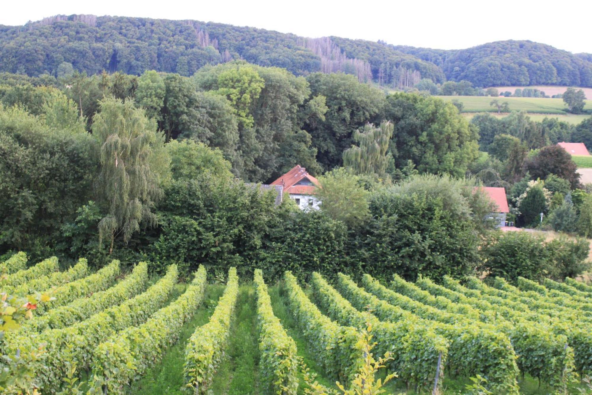 Fewo Harling - Waldsamkeit Bad Iburg Bagian luar foto