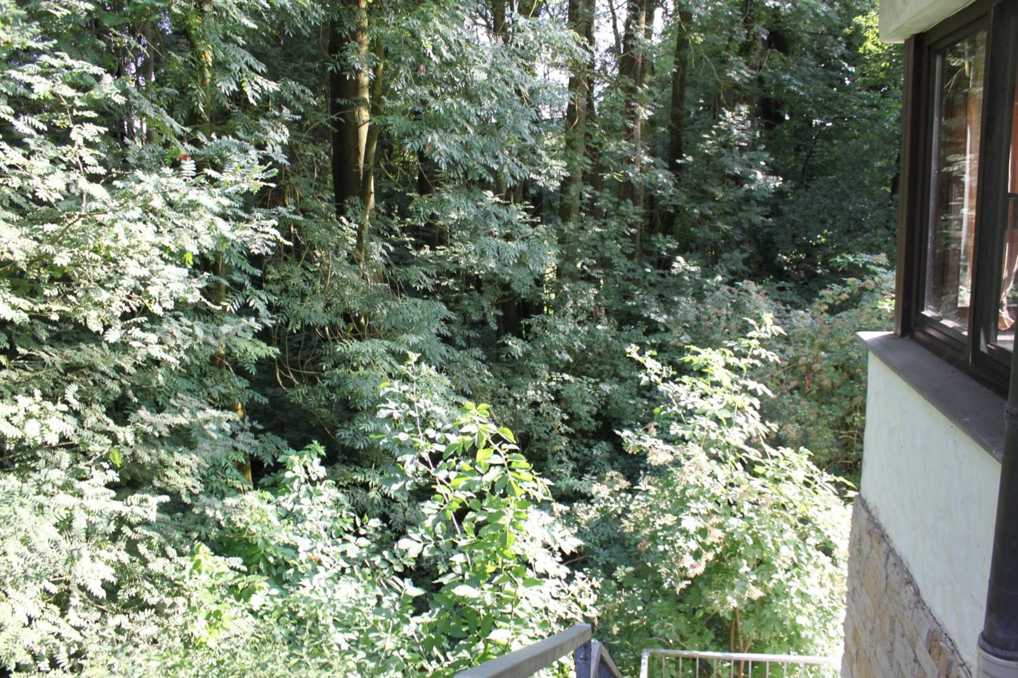 Fewo Harling - Waldsamkeit Bad Iburg Bagian luar foto